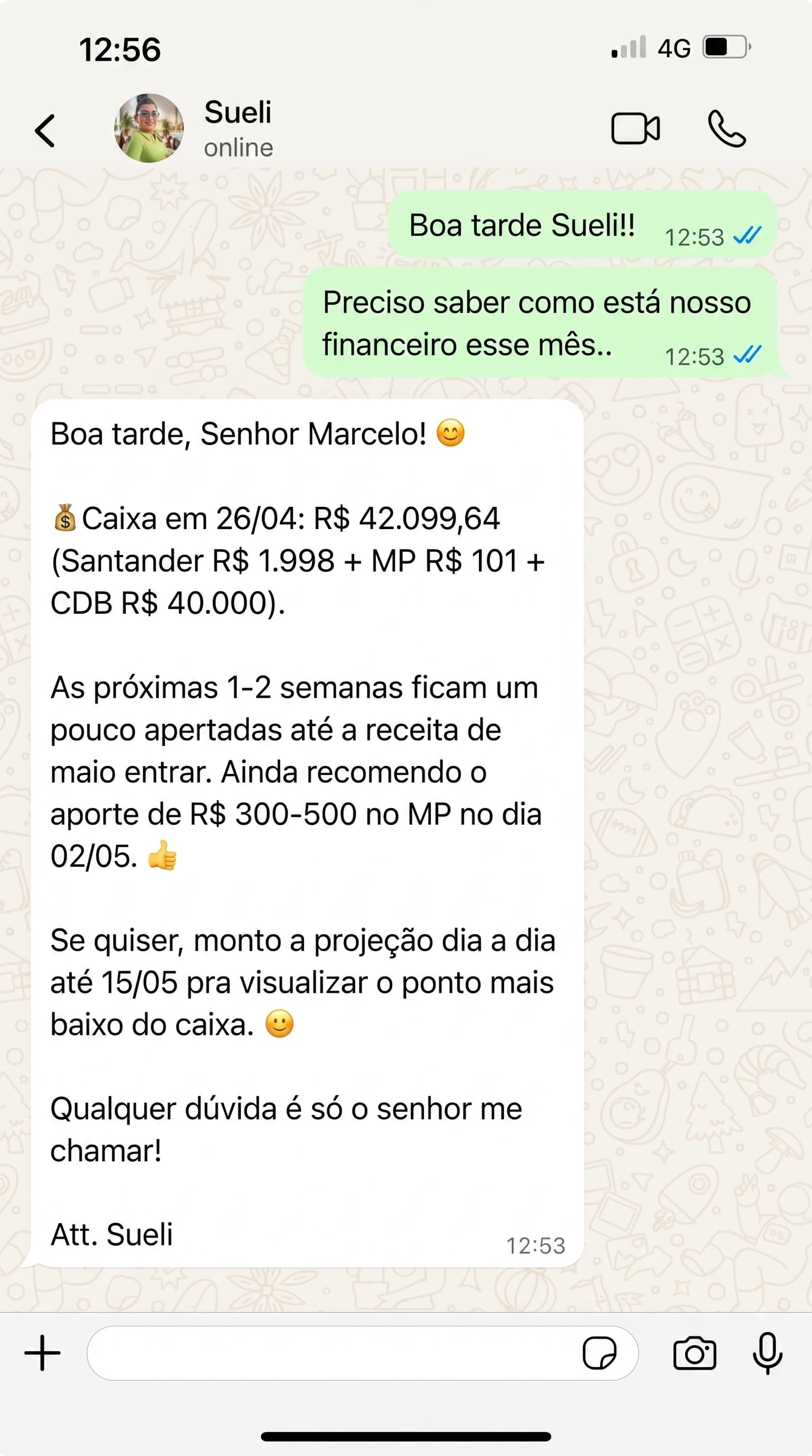 Conversa de WhatsApp com a Sueli organizando o financeiro
